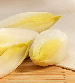 Endive