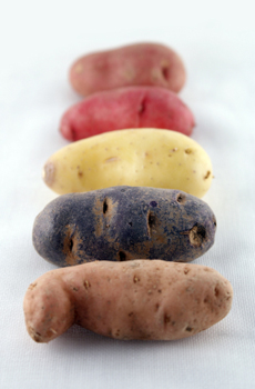 Fingerlink Potatoes