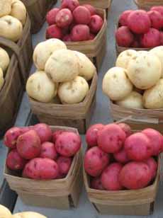New Potatoes New Potatoes