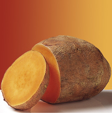 Sweet Potato