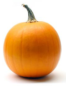 Pumpkin