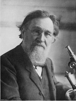 Ilya Metjnikov