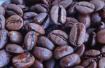 Coffee beans
