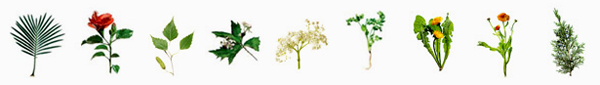 Harmonizing Botanicals