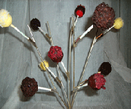 Lollipop Tree