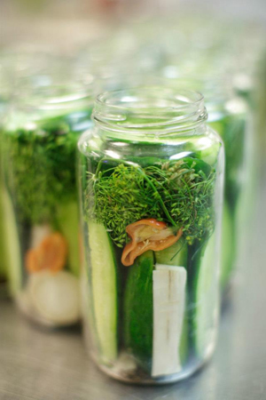 Best Dill Pickles