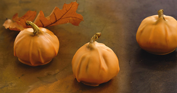 Calabacita Fig Pumpkins