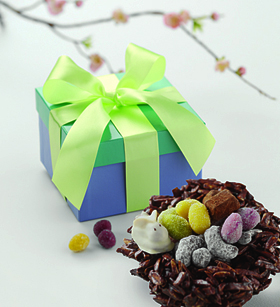 Rocher Nest