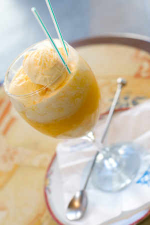 Vanilla Ice Cream