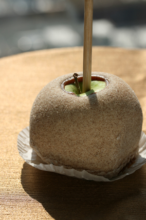 Chocolate Caramel Apple