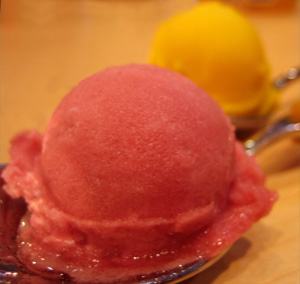 Hibiscus Sorbet