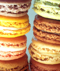 Laduree Macaroons