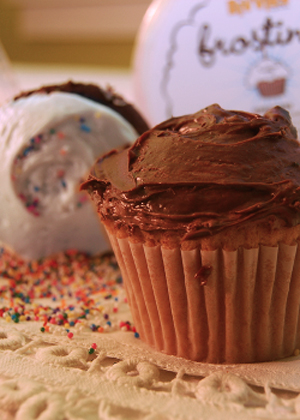 Chocolate Cupcakes