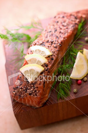 Salmon