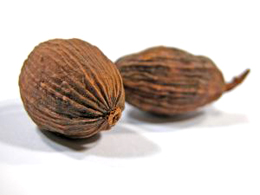 Nutmeg