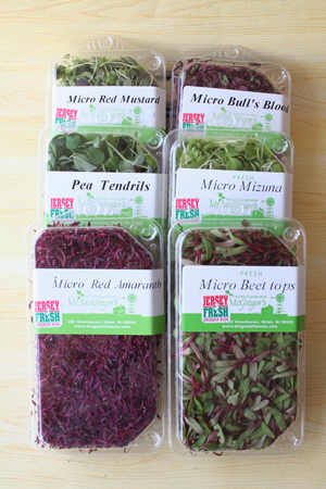 Microgreens - Boxes