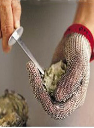 Oyster Glove