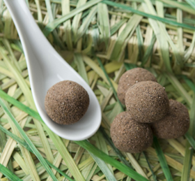 Raw Cacao Peppermint Truffles