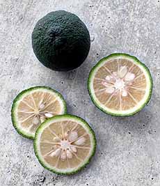 Yuzu