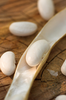 Cannellini Beans