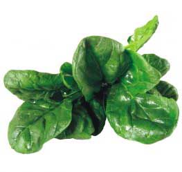 Spinach