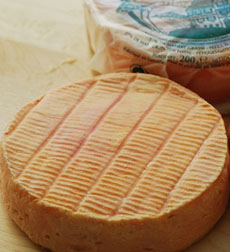 Alsatian Munster Cheese