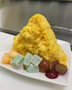 Shave Ice Garnished