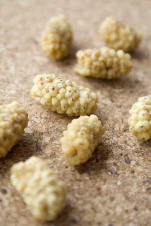 White Mulberries