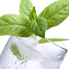 Water with mint