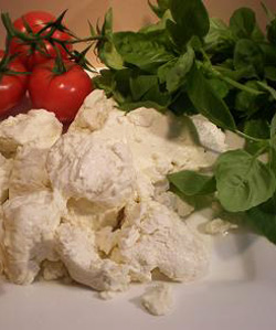 Mozzarella Curd