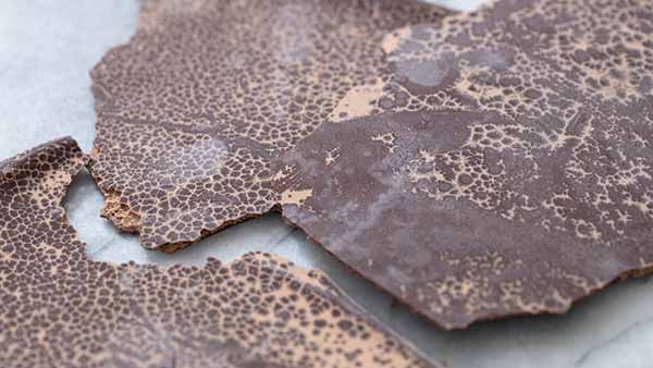 Bloom On Chocolate