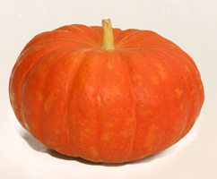 cinderella squash