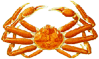 snow crab