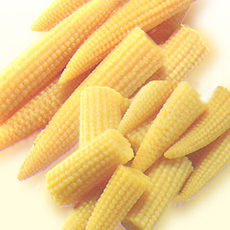 Corn