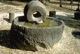 Etruscan Olive Press