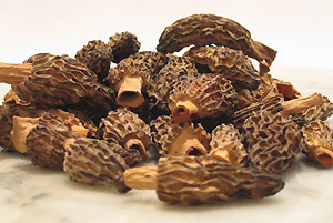 Dried Morels