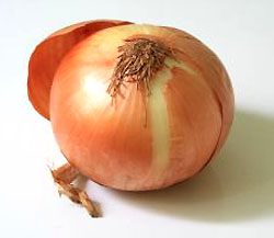 Onion