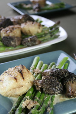 Morels, Asparagus And Scallops