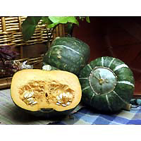 buttercup squash