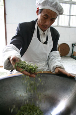 Green Tea Processing