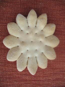 Sunflower Cracker