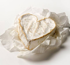 Neufchatel Cheese