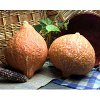 hubbard squash