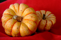 sweet dumpling squash