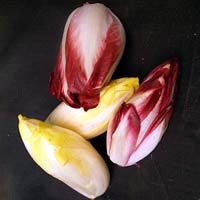 belgian endive