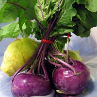 kohlrabi