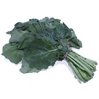 Rapini