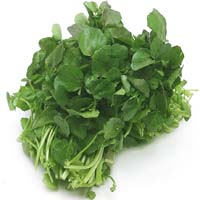 watercress