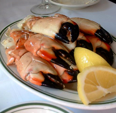 Stone Crab