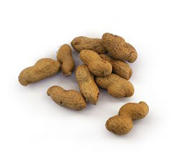 Peanuts